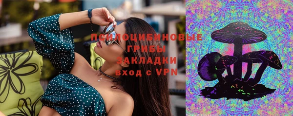 дурь Белокуриха