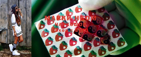 ПСИЛОЦИБИНОВЫЕ ГРИБЫ Белоозёрский